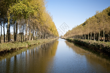 运河运河树木绿色背景图片