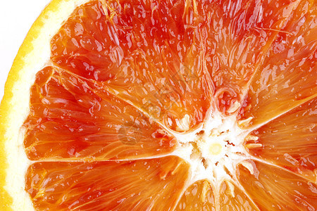 血红橙橙子工作室白色图片