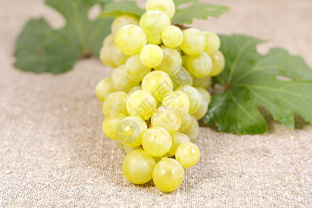白葡萄品种马斯喀特网状白色静物低音帆布太阳灰色绿色食物甜点图片