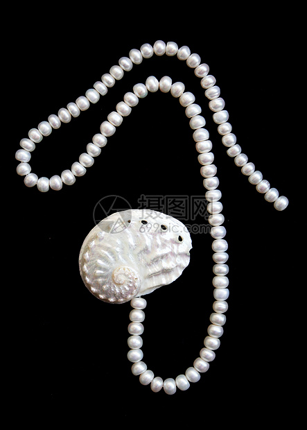 白色珍珠和黑色天鹅绒上的雀斑壳细绳魅力珠宝光泽度礼物宝石价值观丝绸奢华宝藏图片