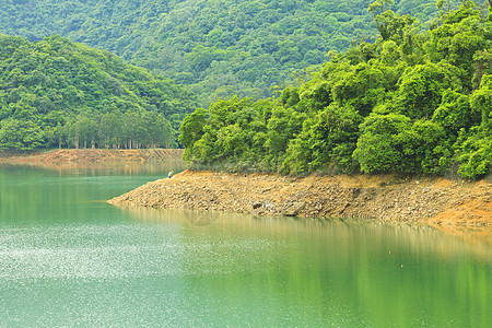 湖边森林太阳风景环境国家地平线阳光场景季节场地支撑图片