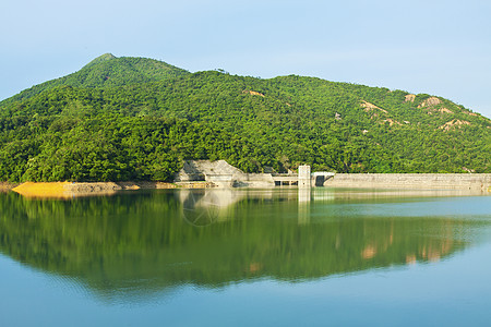 森林中的湖泊镜子木头植物场景叶子岩石池塘森林晴天旅行图片