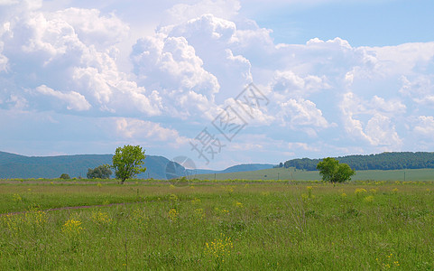 夏季风景土地孤独草地全景牧场太阳蓝色环境荒野场地图片