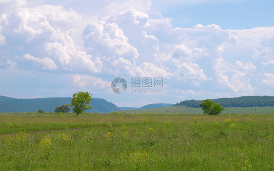 夏季风景土地孤独草地全景牧场太阳蓝色环境荒野场地图片