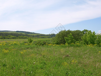 夏季风景森林云景牧场土地场景阳光草地季节全景蓝色图片