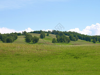 夏月森林景观与森林草地天空全景土地植物绿色蓝色丘陵孤独地平线图片