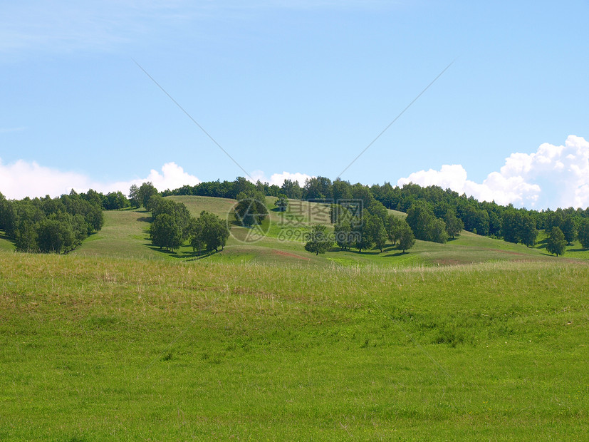 夏月森林景观与森林草地天空全景土地植物绿色蓝色丘陵孤独地平线图片