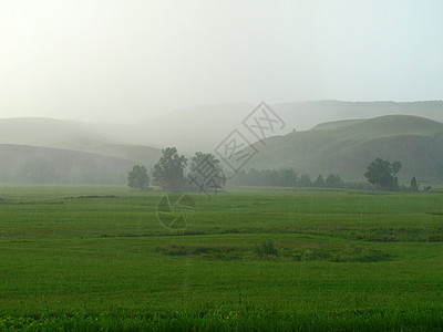 山丘的夏月风景土地季节环境针叶森林荒野太阳天空爬坡草地图片