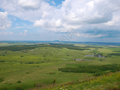 美丽的夏季风景蓝色荒野天空场地全景太阳阳光叶子爬坡针叶图片