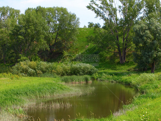 夏季风景与河流天空季节城市绿色植物树木蓝色反射场景水平图片