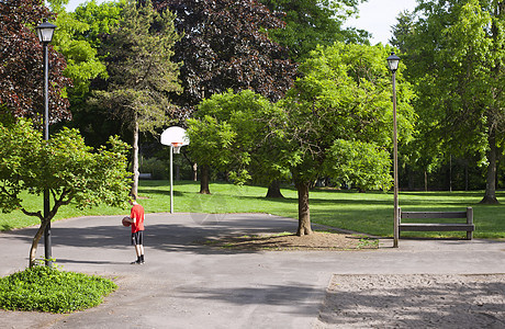 公共公园操场闲暇灯柱分支机构邻里植物群树木法庭篮球阴影图片