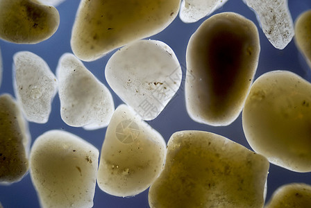 沙粒照片显微镜极化纹理光学火山矿物显微粮食矿物质背景图片