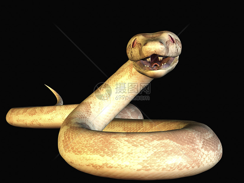 Python 符号动物学爬虫蟒蛇獠牙高清图片下载-正版图片321276626-摄图网