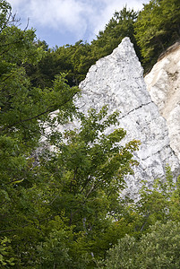 鲁根岛绿色海岸海滩树木石头粉笔白垩白色悬崖图片