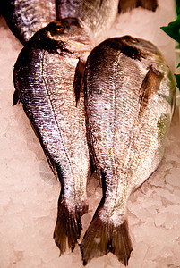 鱼类市场渔业鱼骨食物烹饪拖网大厅鱼片骨头海鲜钓鱼图片