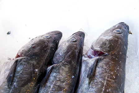 鲑鱼鱼骨烹饪钓鱼骨头鳟鱼海鲜鱼片渔业拖网大厅图片