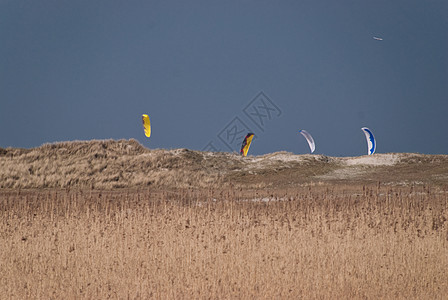 风筝季节地平线海滩沙丘天空海岸图片