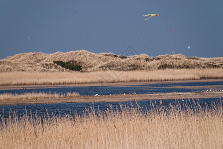 沙丘天空地平线海岸海滩季节风筝图片