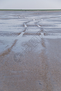 海滩沙滩海岸季节泥滩天空地平线图片