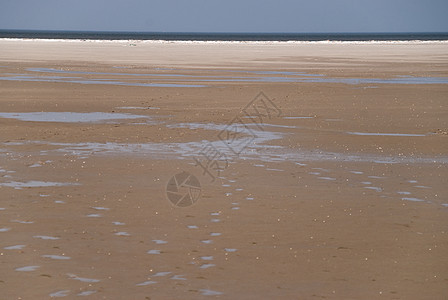 海滩沙滩海岸天空泥滩地平线季节图片