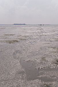 显示器泥滩海岸地平线低潮天空图片