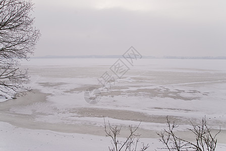 冬季现场白色地景鞭子芙蓉寒冷冻结季节鞭策图片