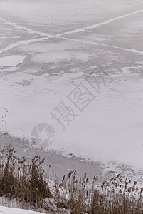 冬季现场季节芙蓉寒冷白色地景鞭策鞭子冻结图片