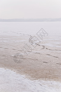 冬季现场芙蓉冻结鞭策寒冷地景白色鞭子季节图片