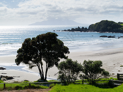 塔哈拉努伊 新西兰 美丽的沿海景观图片