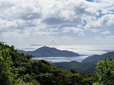 美丽的海岸景观 新西兰科罗曼德尔吸引力蓝色植被支撑旅行远景海岸线假期海洋旅游图片