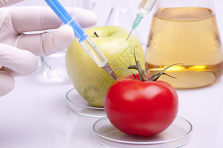 遗传研究基因药品药店技术注射食物生长科学家西红柿注射器图片