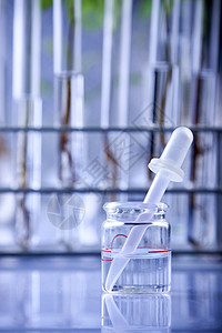 实验室中的幼苗蓝色药剂学微生物学生物学生态技术叶子测试玻璃生物图片