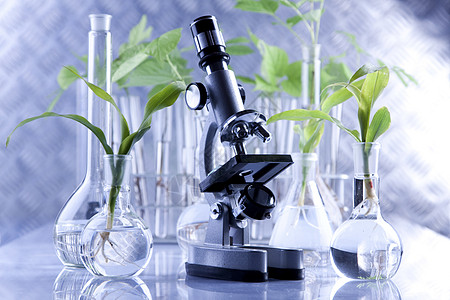 实验室中的植物 遗传科学生长幼苗蓝色杂草药剂学测试药品试管微生物学技术图片