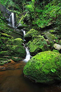 绿色瀑布石头苔藓岩石森林荒野溪流图片