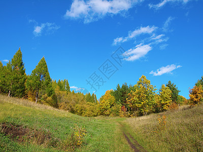 秋季风景山脉场景阳光天空城市季节蓝色松树草地植物图片