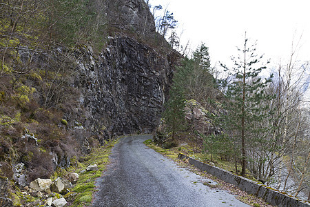 农村地貌的径长道路森林苔藓风景针叶树石头水平乡村图片