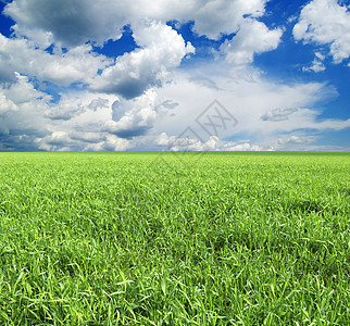 字段牧场乡村天空农业远景阳光场地风景土地植物图片