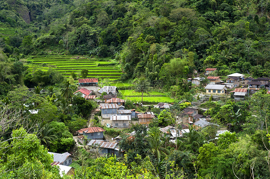 山区村气候部落文化房子旅行场景食物收获生长植物图片