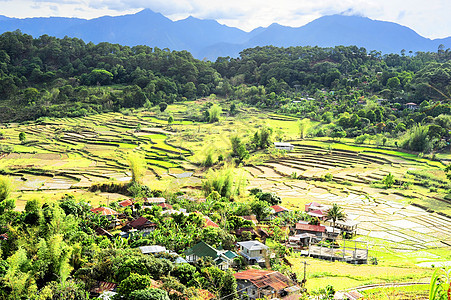 科迪勒拉山村食物植物部落场景房子热带村庄场地收获爬坡图片