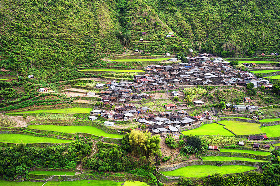 科迪勒拉山村文化农场场景食物生长旅行爬坡植物气候山脉图片