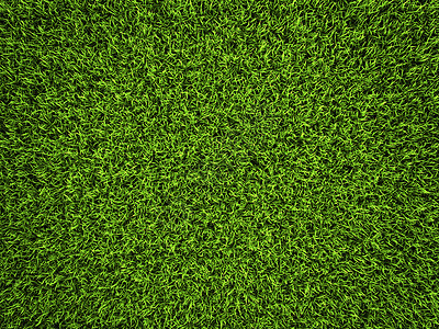 草背景生态场地植物绿色草皮花园环境季节刀刃草地背景图片