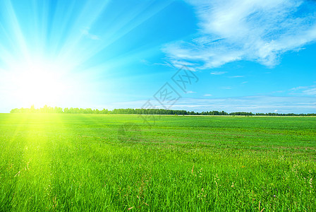 夏间时间太阳草地城市土地场景花园植物阳光牧场天空图片