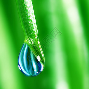 大水滴反射草本植物草地液体阳光背景雨滴花园生长刀刃图片