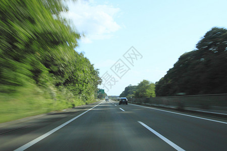 彩色叶叶和道路路线森林地平线旅游树叶季节性木头蓝天黄色植物图片