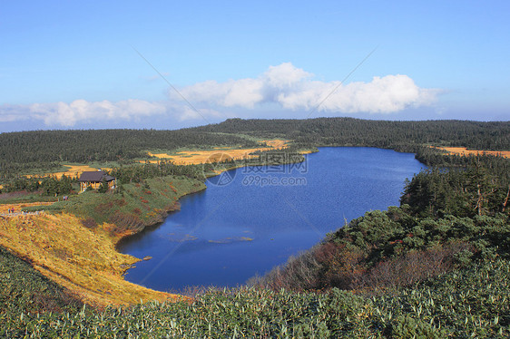 哈奇曼泰的多彩叶子植物木头路线季节性黄色池塘旅游树叶地平线森林图片