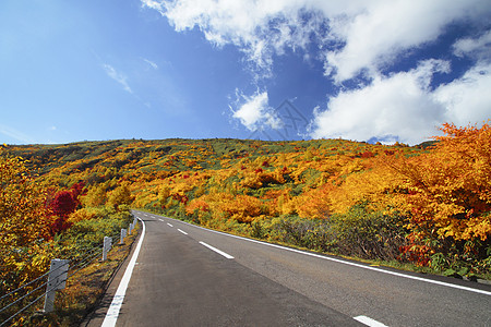 在哈奇曼泰 有许多山岳和多彩的树叶黄色地平线驾驶蓝天木头路线旅游森林图片