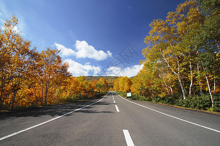 在哈奇曼泰 有许多山岳和多彩的树叶路线木头森林蓝天驾驶地平线黄色旅游图片