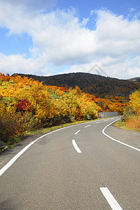 在哈奇曼泰 有许多山岳和多彩的树叶路线旅游蓝天森林木头地平线黄色图片