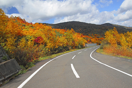 在哈奇曼泰 有许多山岳和多彩的树叶地平线黄色森林蓝天旅游路线木头图片