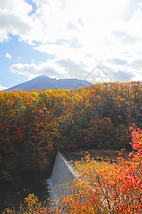 松川谷的多彩树叶季节性旅游溪流森林地平线木头植物图片